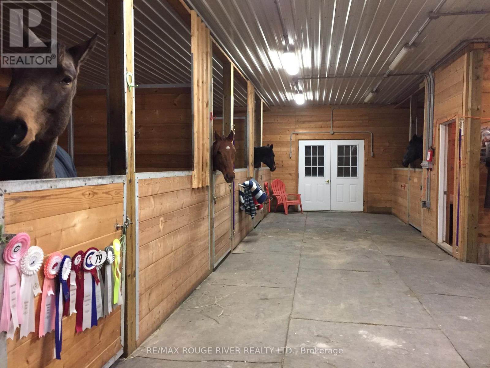 436 Eddystone Road, Alnwick/haldimand, Ontario  K0K 2G0 - Photo 5 - X12834680