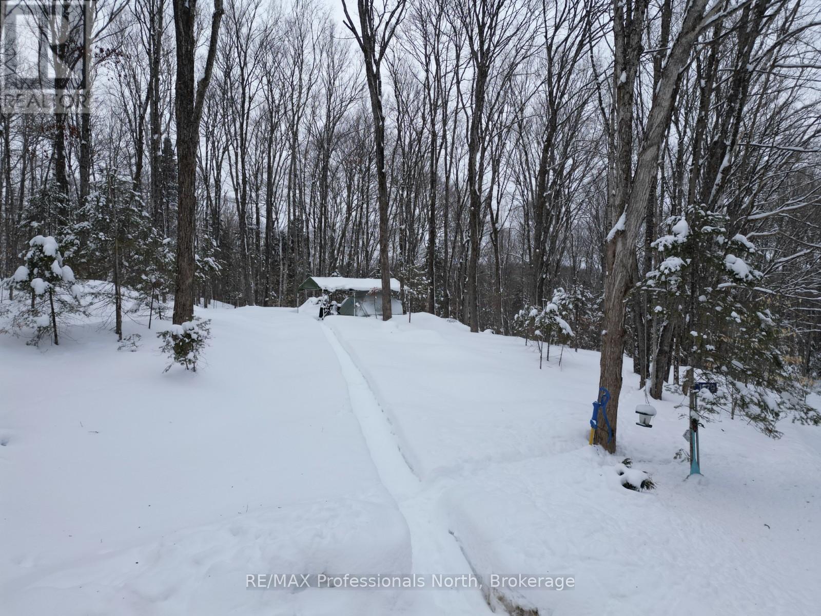 1579 Paynes Road, Highlands East, Ontario  K0M 2Y0 - Photo 3 - X12834782