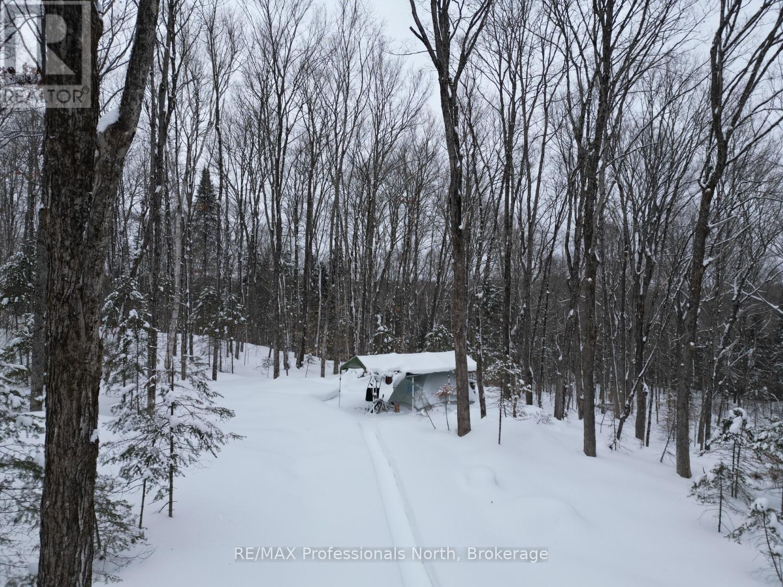 1579 Paynes Road, Highlands East, Ontario  K0M 2Y0 - Photo 6 - X12834782