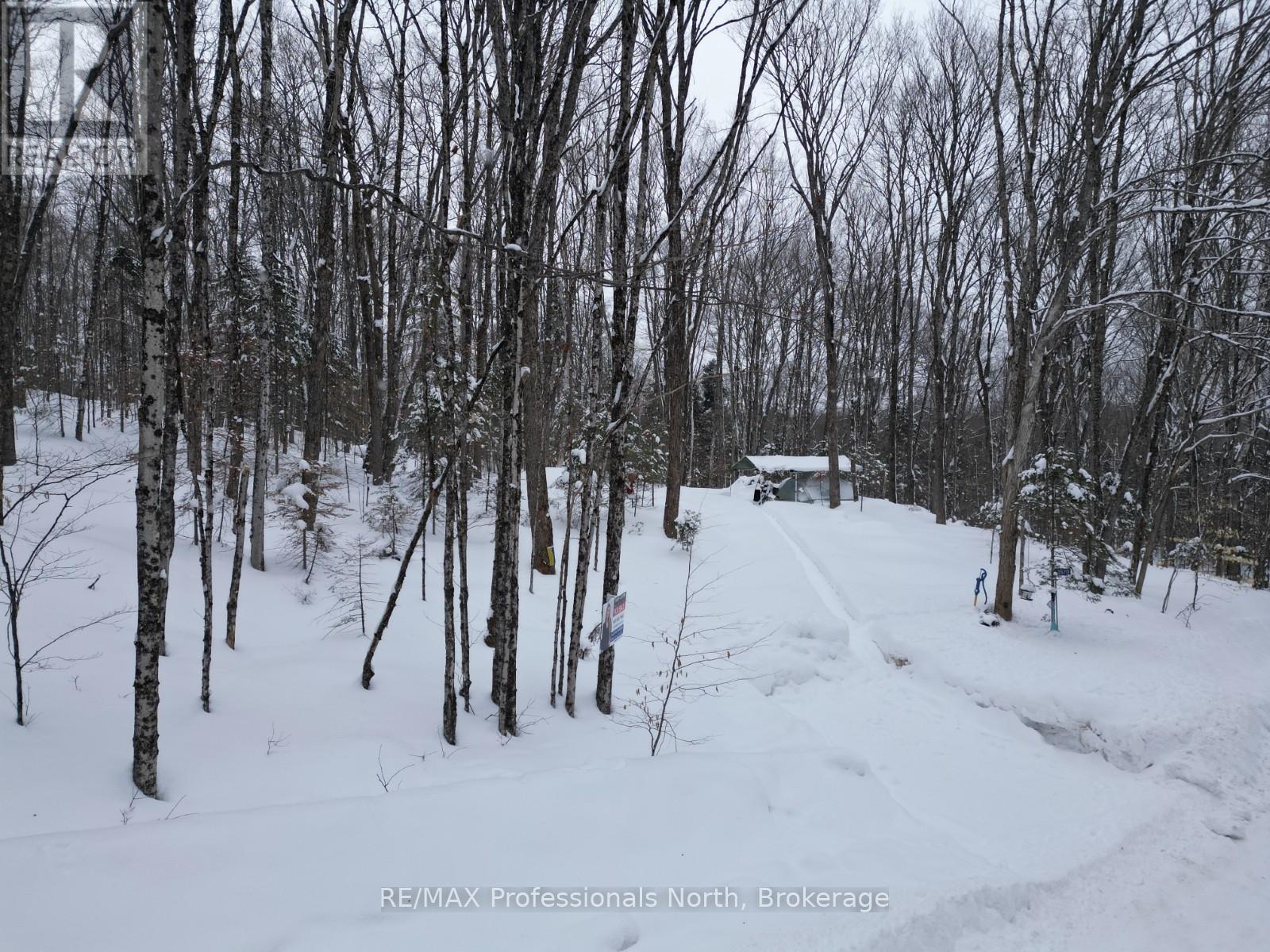 1579 Paynes Road, Highlands East, Ontario  K0M 2Y0 - Photo 7 - X12834782