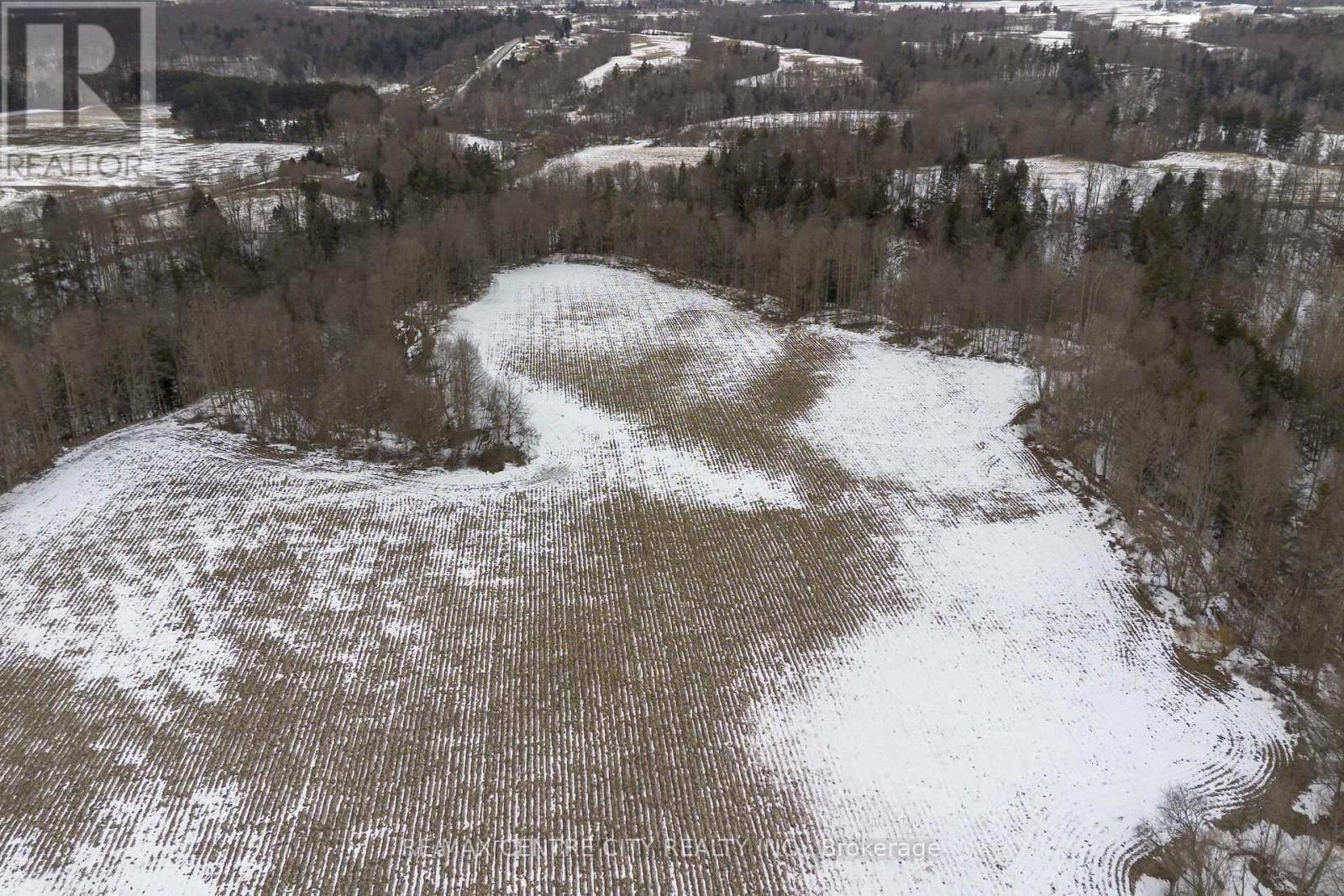 54694 Calton Line, Bayham, Ontario  N0J 1Z0 - Photo 4 - X12834822