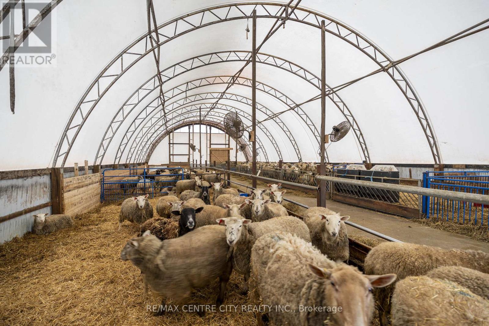 54694 Calton Line, Bayham, Ontario  N0J 1Z0 - Photo 8 - X12834822