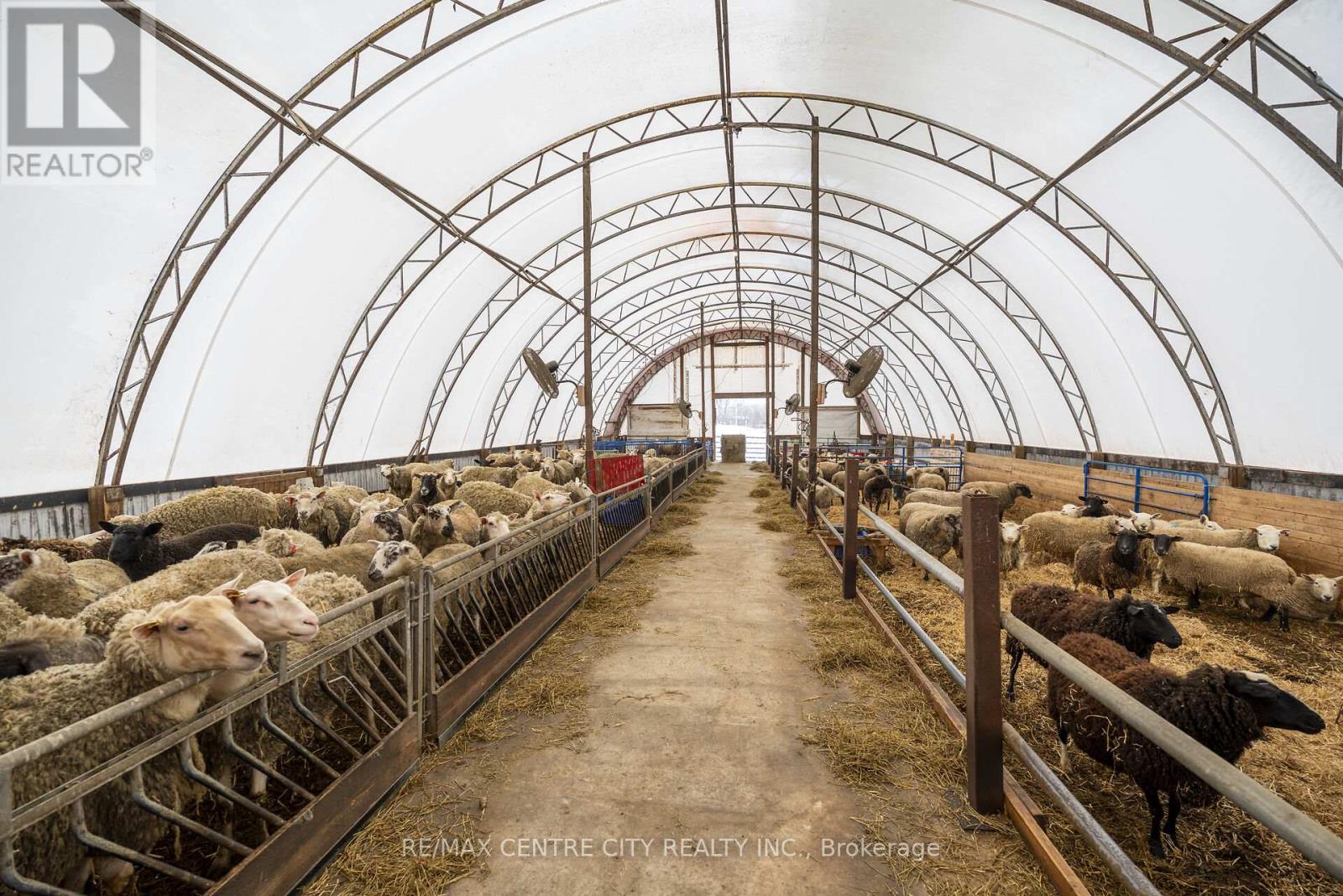 54694 Calton Line, Bayham, Ontario  N0J 1Z0 - Photo 9 - X12834822