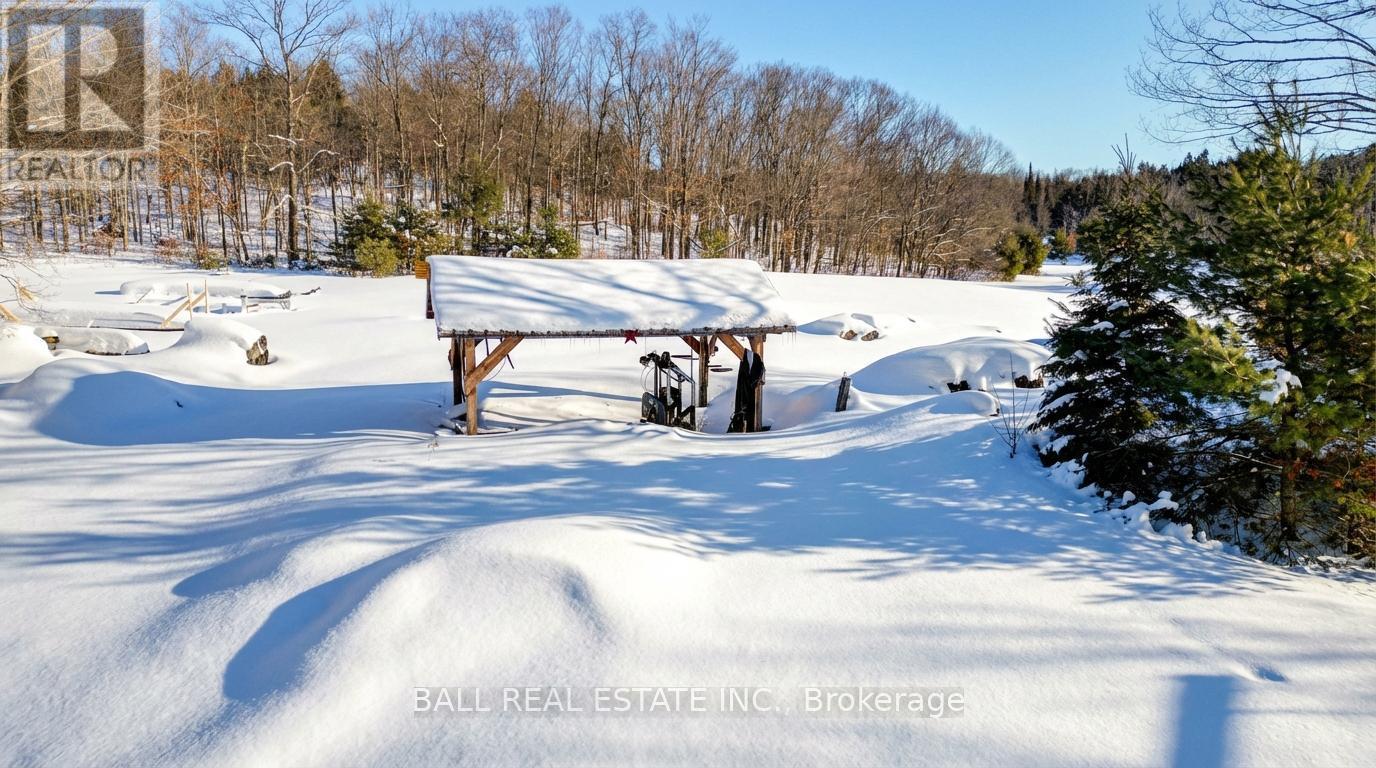 186 Lasswade Road, North Kawartha, Ontario  K0L 1A0 - Photo 10 - X12834372