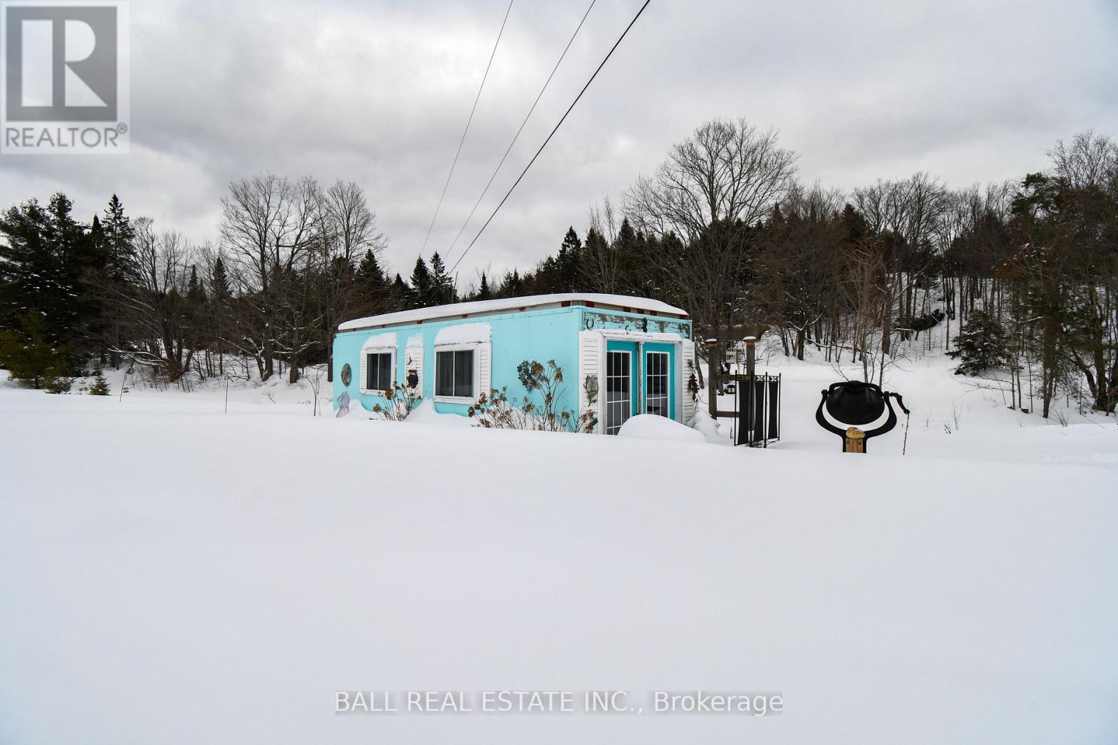 186 Lasswade Road, North Kawartha, Ontario  K0L 1A0 - Photo 43 - X12834372