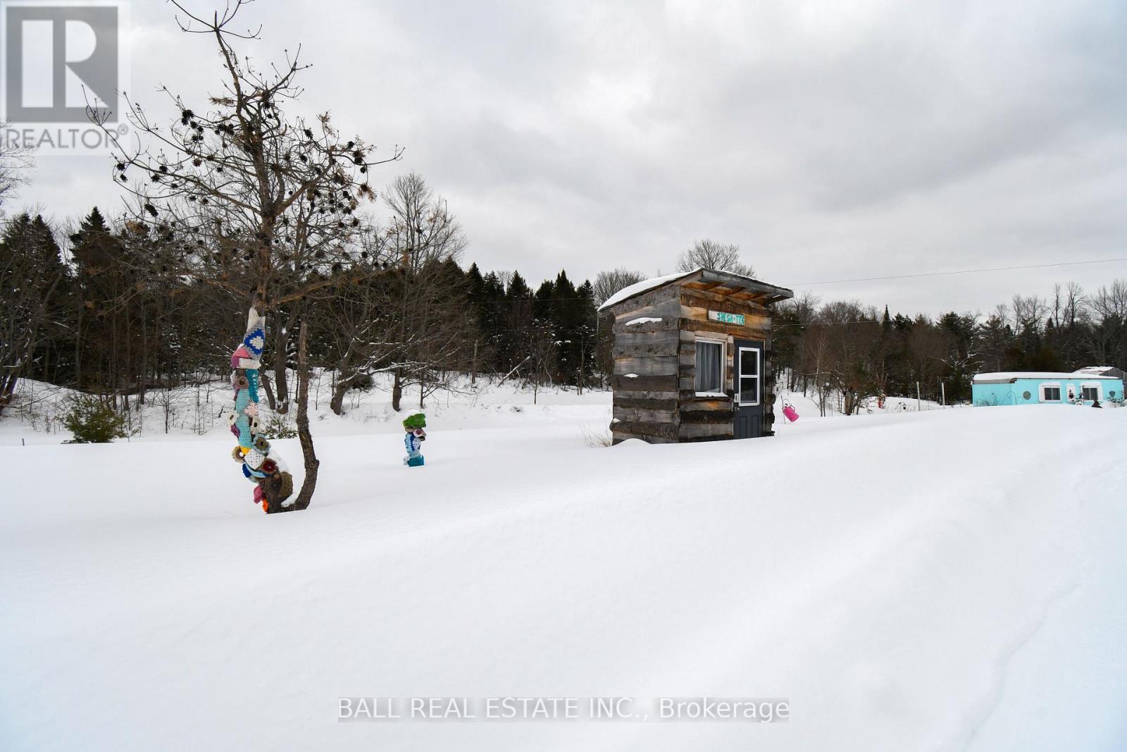 186 Lasswade Road, North Kawartha, Ontario  K0L 1A0 - Photo 42 - X12834372