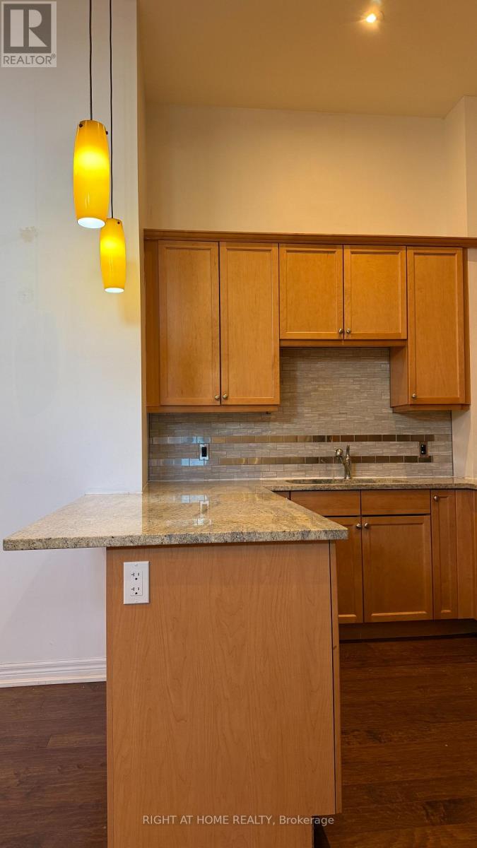 102 - 50 Murray Street W, Hamilton, Ontario  L8L 1B3 - Photo 7 - X12835022