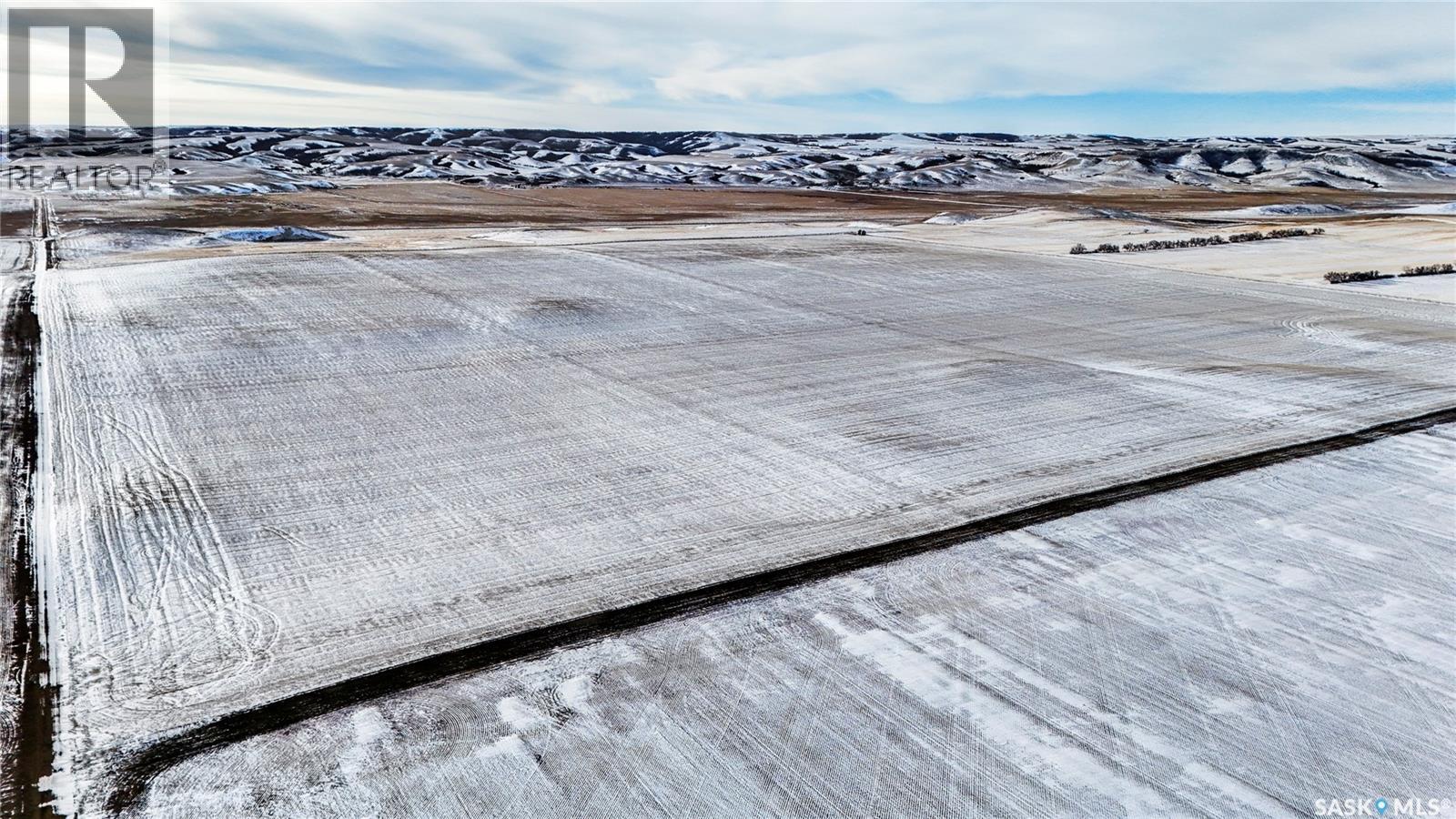 1 Quarter Premium Grainland Near Willow Bunch, Willow Bunch Rm No. 42, Saskatchewan  S0H 4K0 - Photo 4 - SK029500