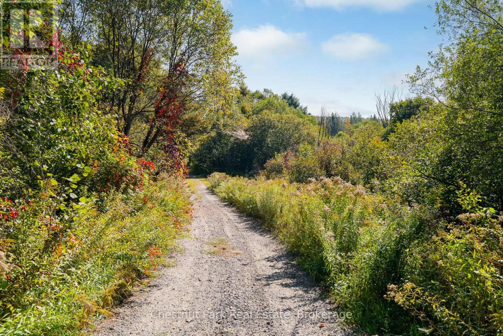 1190 Hekkla Road, Muskoka Lakes, Ontario  P0C 1J0 - Photo 33 - X12835060