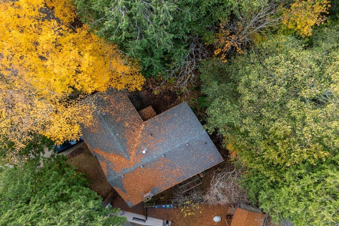 13317 15b Avenue, Surrey, British Columbia  V4A 6C8 - Photo 37 - R3090918