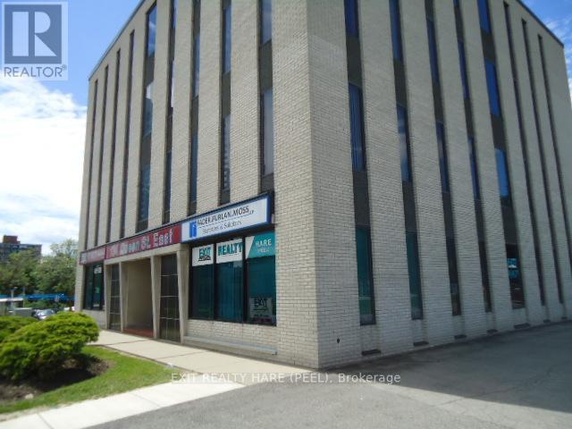 206 - 134 Queen Street E, Brampton, Ontario  L6V 1B2 - Photo 1 - W12835104