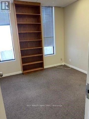 206 - 134 Queen Street E, Brampton, Ontario  L6V 1B2 - Photo 3 - W12835104