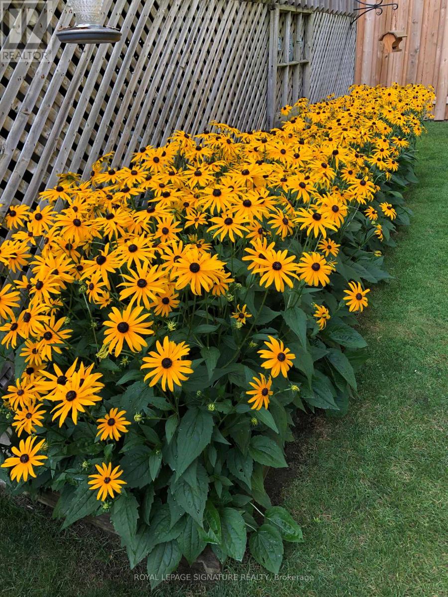 18 Webster Way, Halton Hills, Ontario  L7G 5J7 - Photo 47 - W12833964