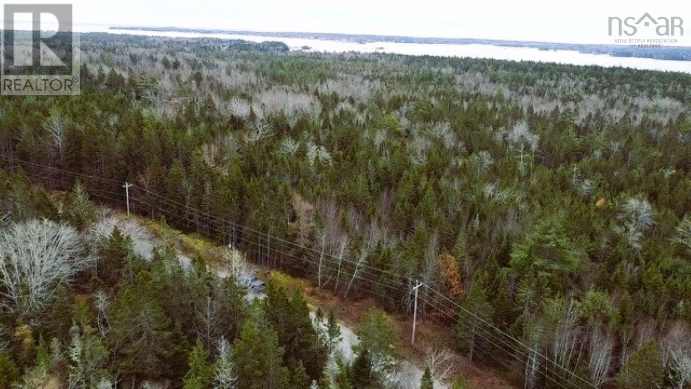 Lot County Line Station Road, East Port Medway, Nova Scotia  B0J 2H0 - Photo 1 - 202525177