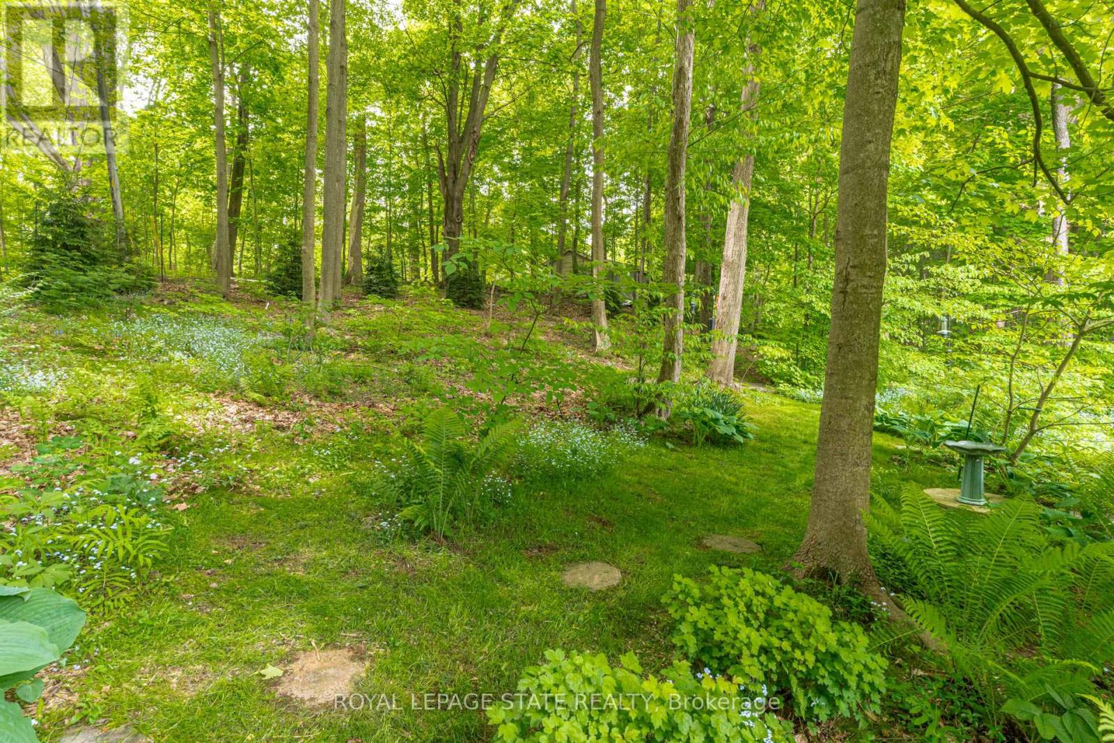 158 Sulphur Springs Road, Hamilton, Ontario  L9G 4Y7 - Photo 47 - X12835234