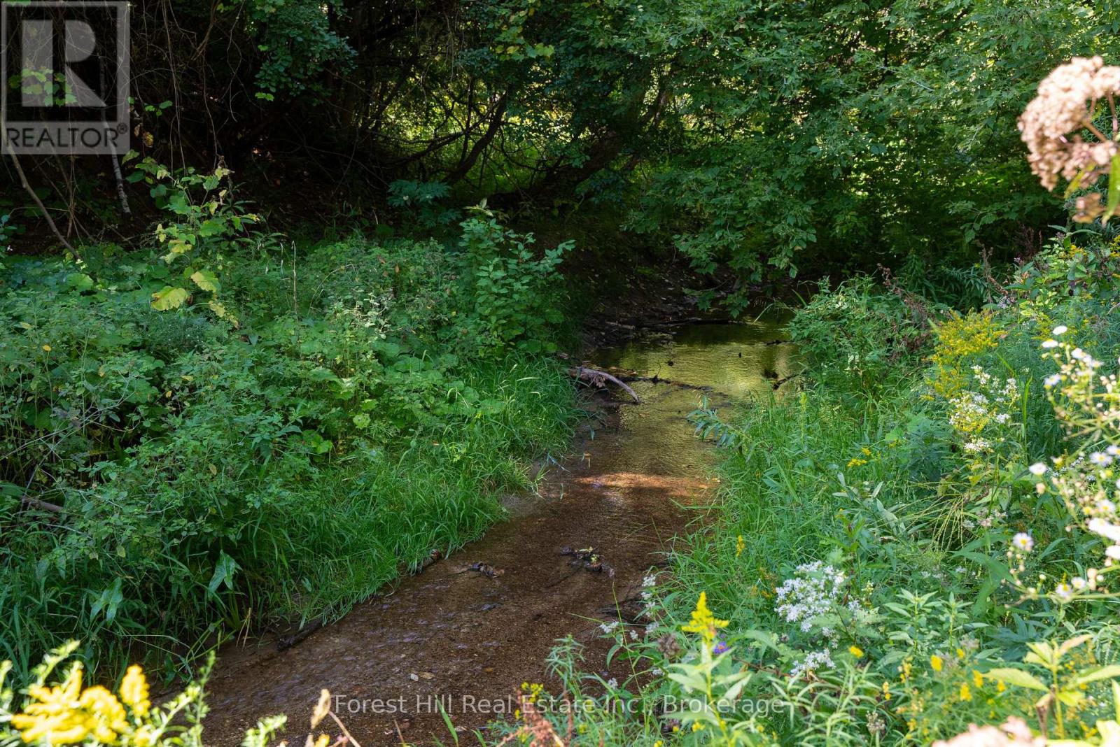 854 Sixth Street, Clearview, Ontario L9Y 3Y9 - Photo 43 - S12835492