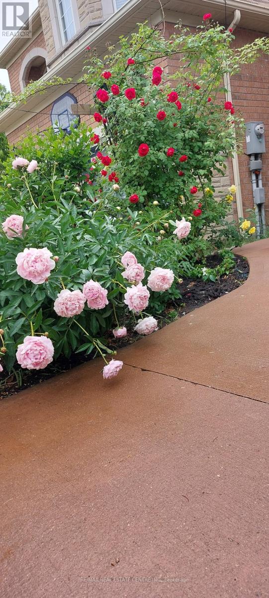 94 Seahorse Avenue, Brampton, Ontario  L6V 4N8 - Photo 44 - W12835316