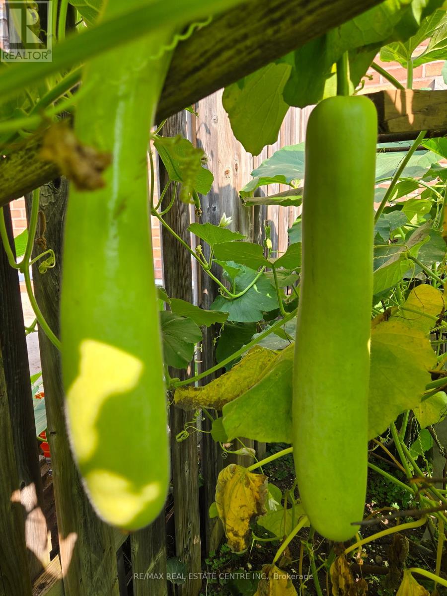 94 Seahorse Avenue, Brampton, Ontario  L6V 4N8 - Photo 48 - W12835316