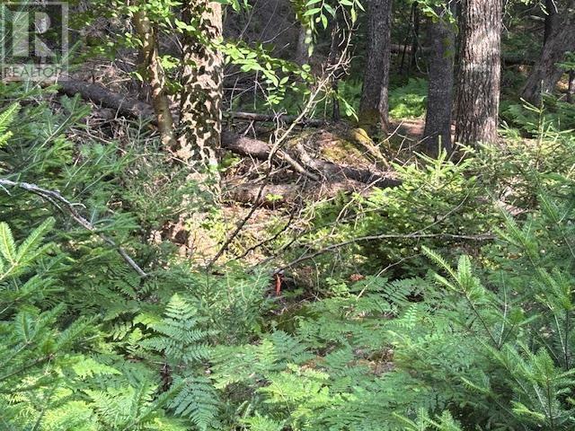 Lot 25 Beaver Dam Trail, Labelle, Nova Scotia  B0T 1E0 - Photo 13 - 202603653