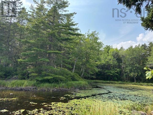 Lot 25 Beaver Dam Trail, Labelle, Nova Scotia  B0T 1E0 - Photo 3 - 202603653