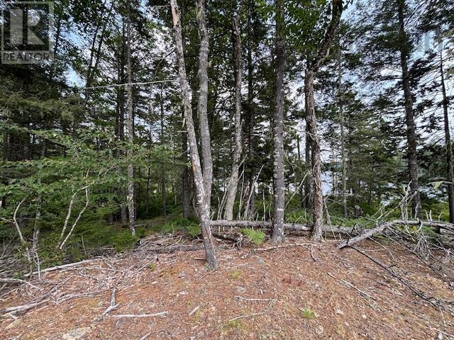 Lot 25 Beaver Dam Trail, Labelle, Nova Scotia  B0T 1E0 - Photo 26 - 202603653