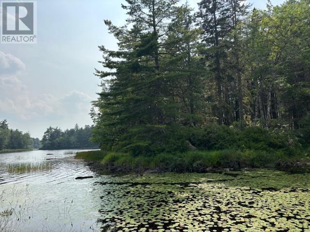 Lot 25 Beaver Dam Trail, Labelle, Nova Scotia  B0T 1E0 - Photo 6 - 202603653