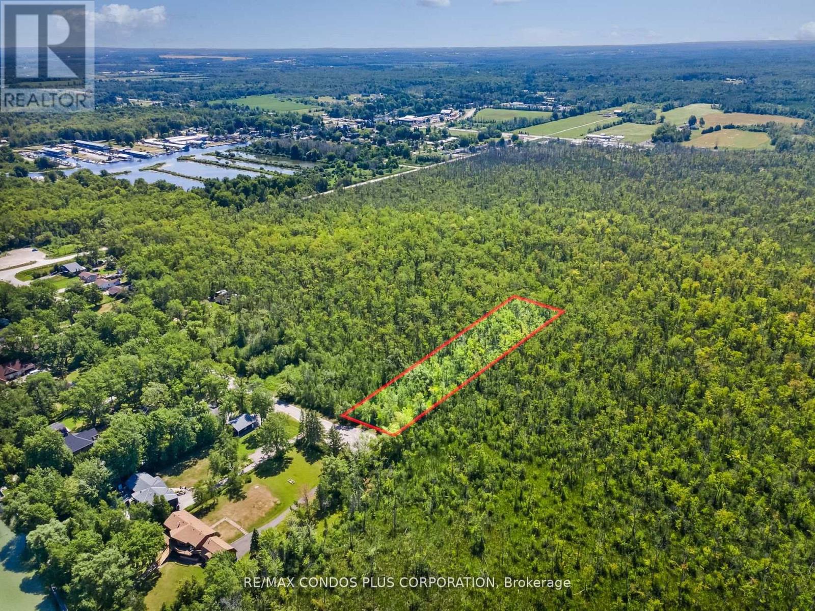 1 Donna Drive, Georgina, Ontario  L0E 1N0 - Photo 15 - N12835472