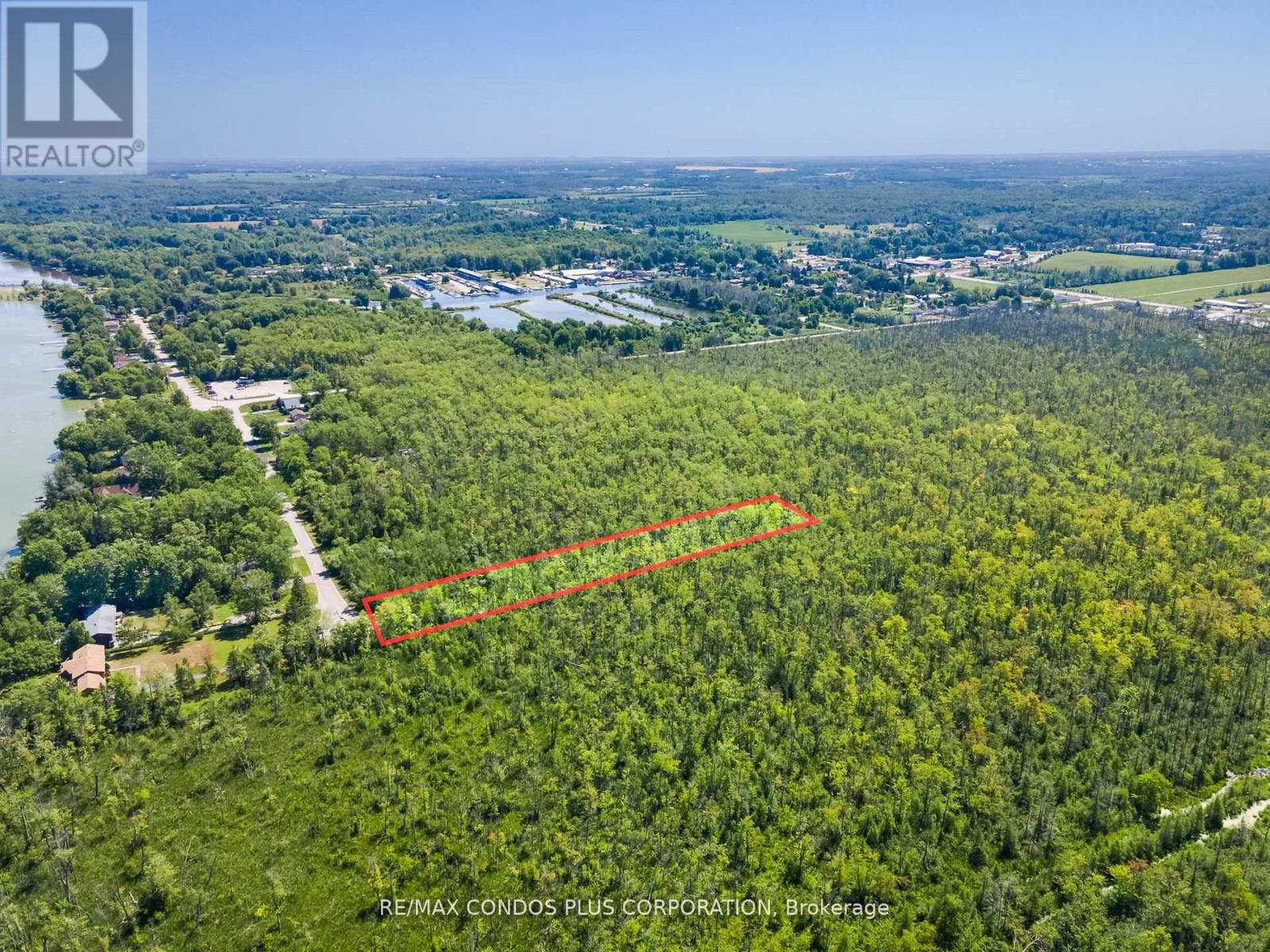 1 Donna Drive, Georgina, Ontario  L0E 1N0 - Photo 16 - N12835472