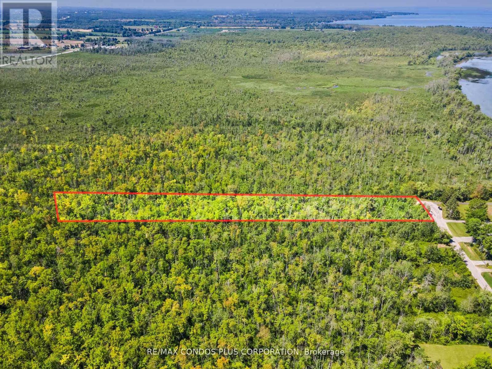 1 Donna Drive, Georgina, Ontario  L0E 1N0 - Photo 17 - N12835472