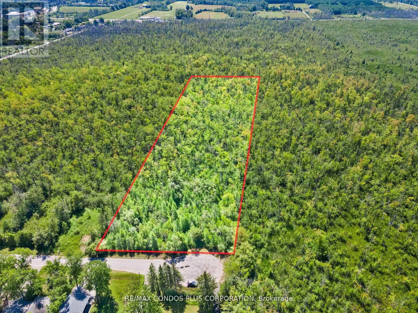 1 Donna Drive, Georgina, Ontario  L0E 1N0 - Photo 19 - N12835472