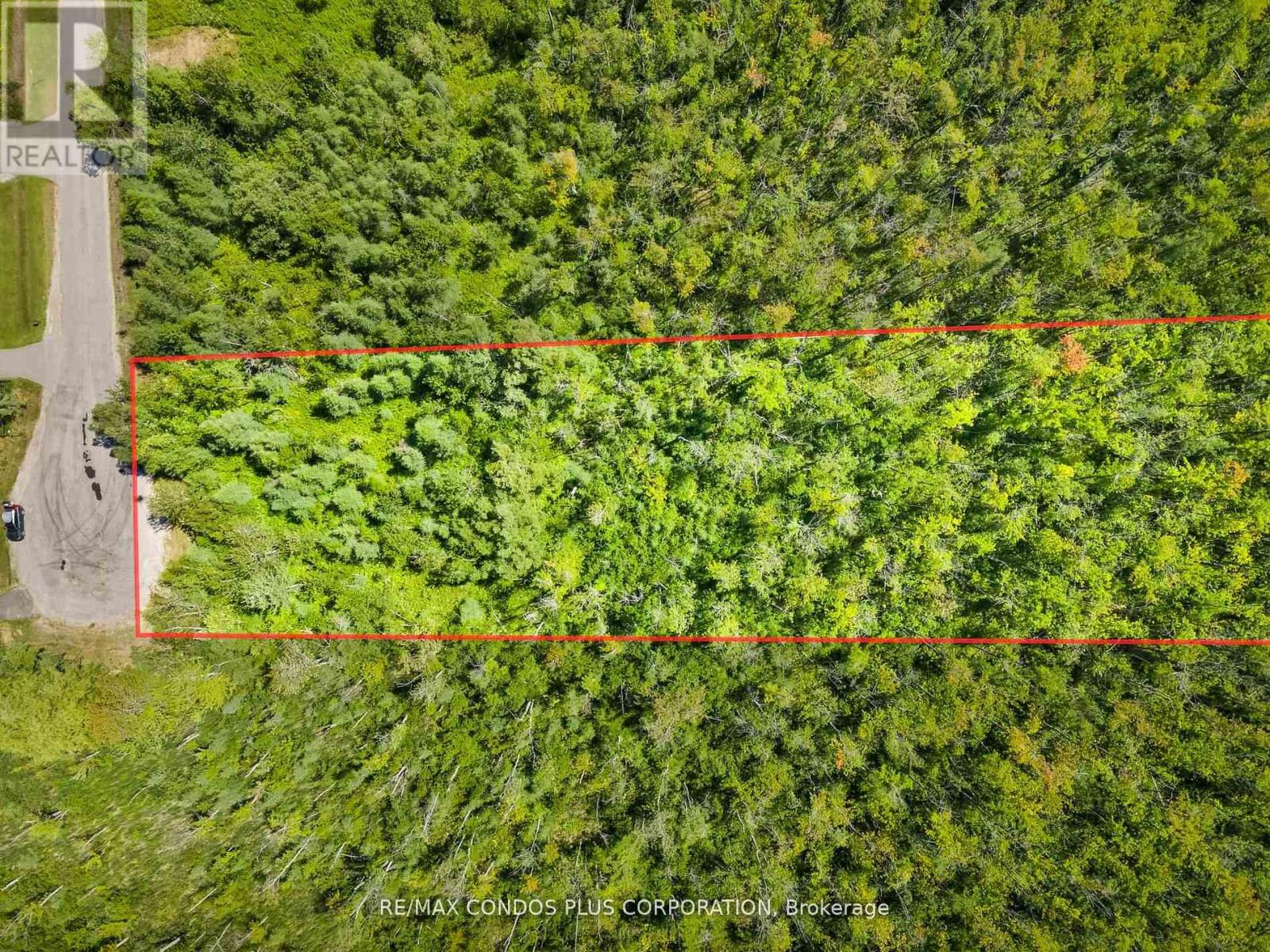 1 Donna Drive, Georgina, Ontario  L0E 1N0 - Photo 21 - N12835472