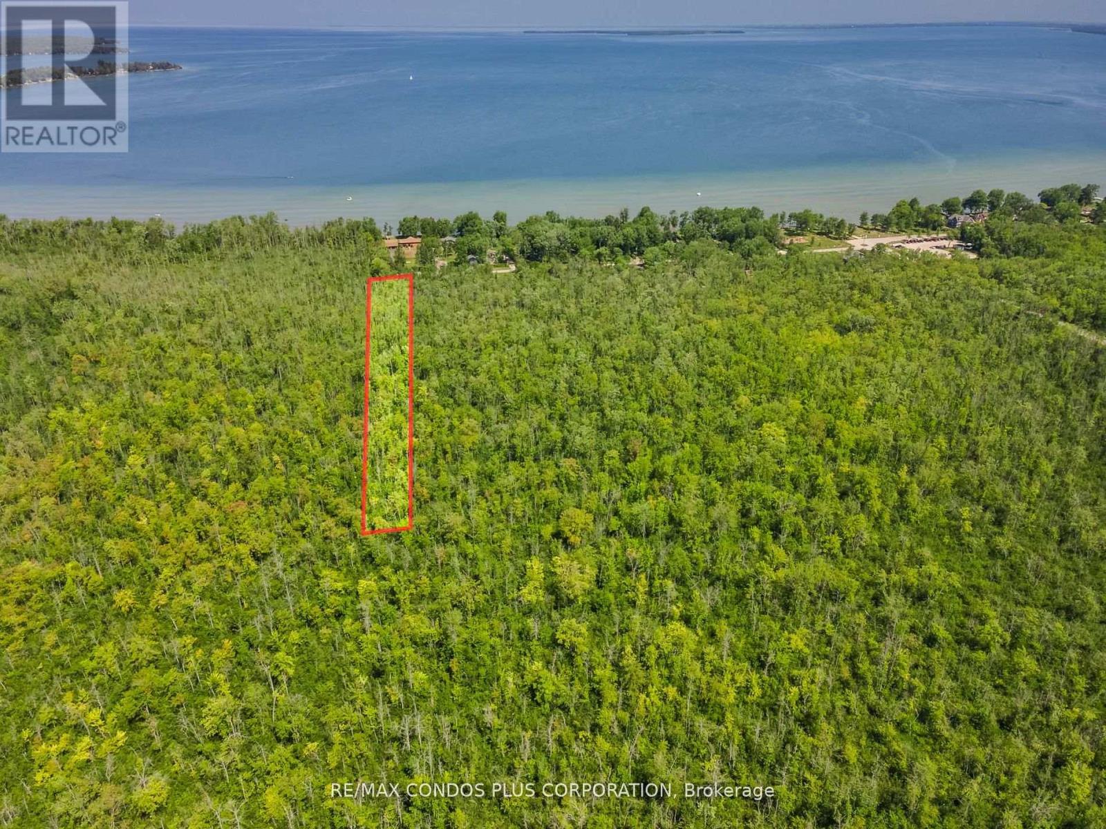 1 Donna Drive, Georgina, Ontario  L0E 1N0 - Photo 5 - N12835472