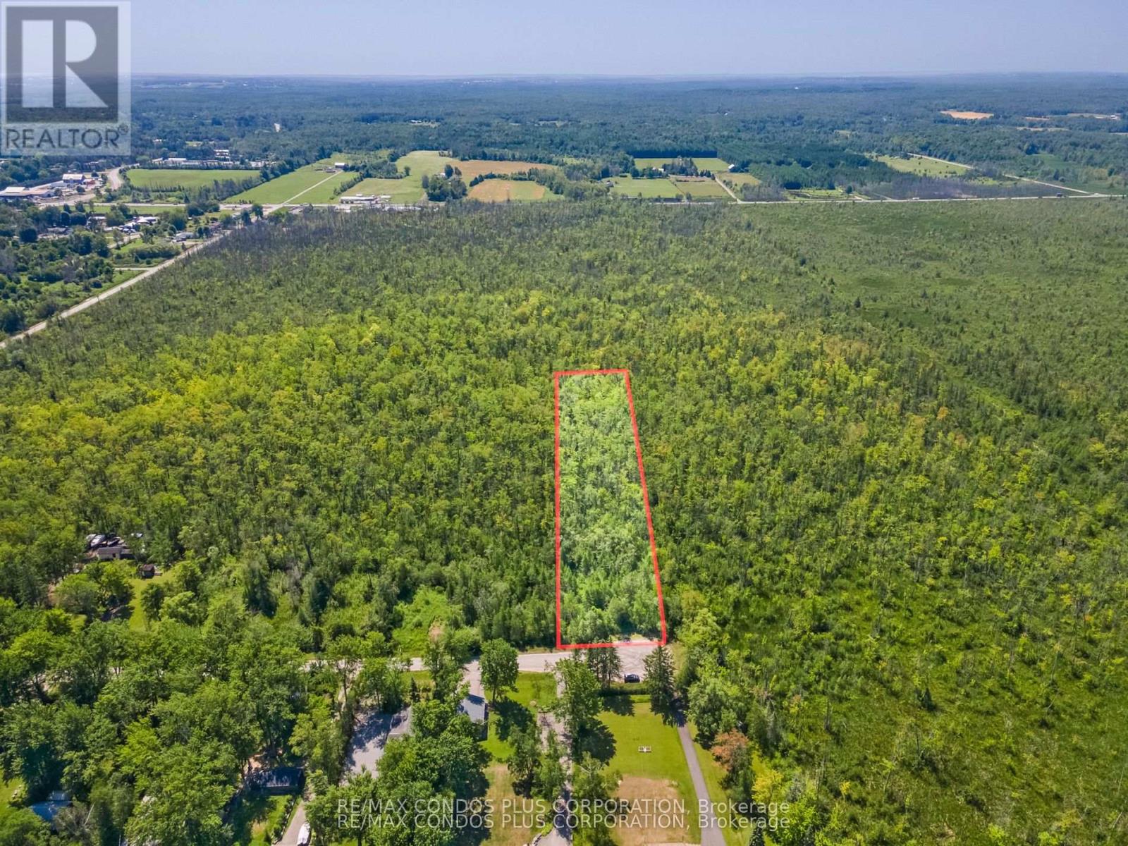 1 Donna Drive, Georgina, Ontario  L0E 1N0 - Photo 7 - N12835472