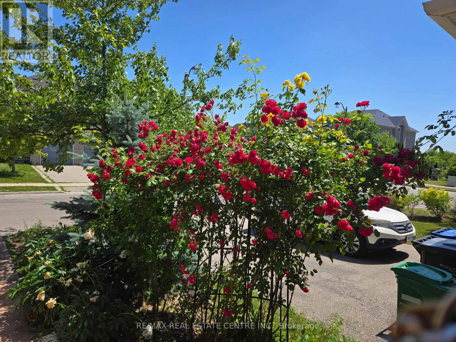 94 Seahorse Avenue, Brampton, Ontario  L6V 4N8 - Photo 45 - W12835316