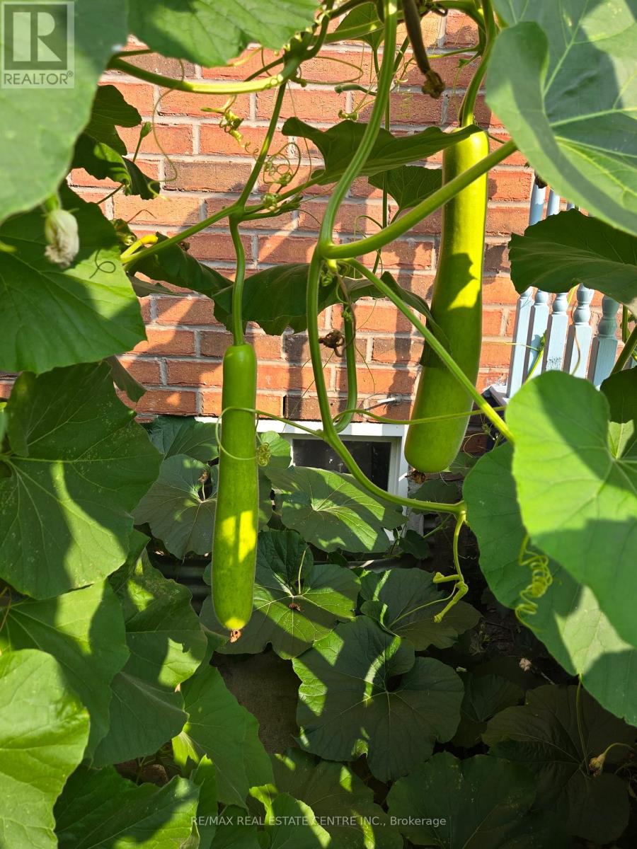 94 Seahorse Avenue, Brampton, Ontario  L6V 4N8 - Photo 49 - W12835316