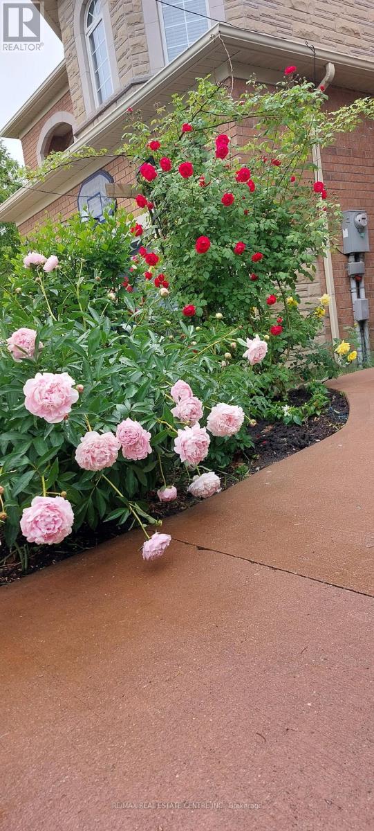 94 Seahorse Avenue, Brampton, Ontario  L6V 4N8 - Photo 46 - W12835316