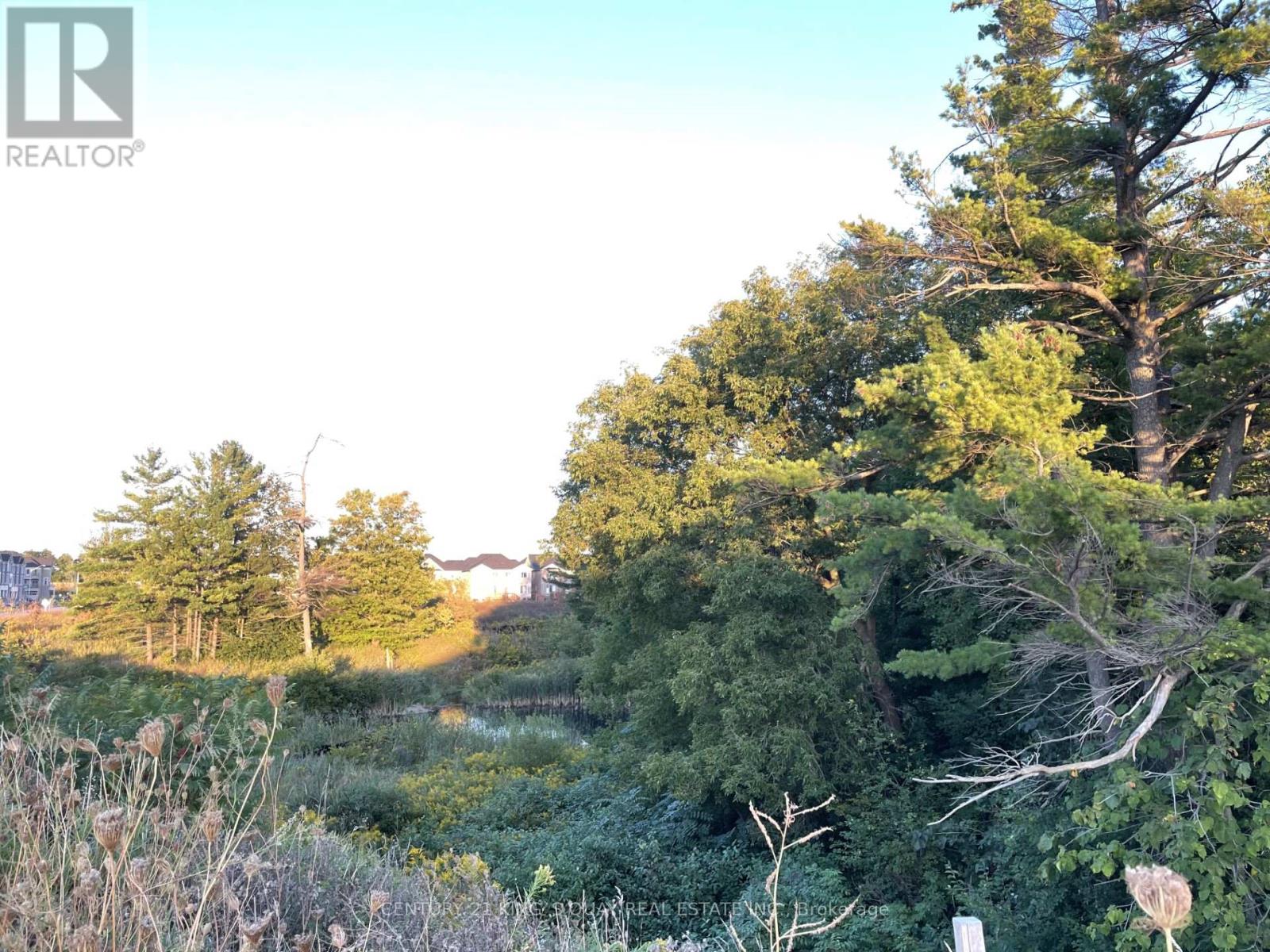 27 Thomas Hope Lane, Markham, Ontario  L3S 0E9 - Photo 33 - N12835752