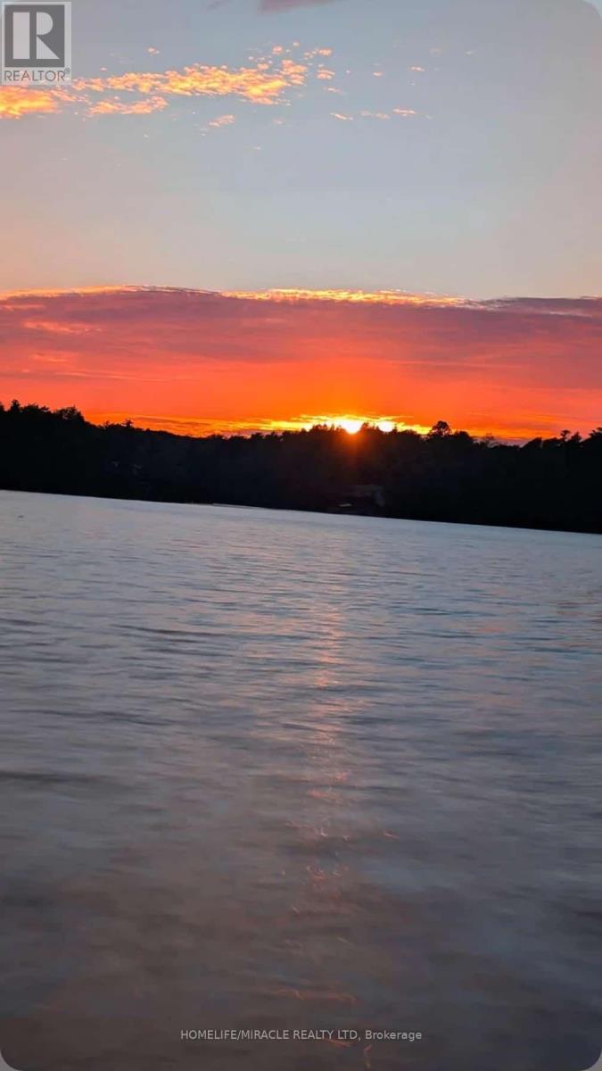 26547 Highway 62 S, Bancroft, Ontario  K0L 2L0 - Photo 44 - X12411546