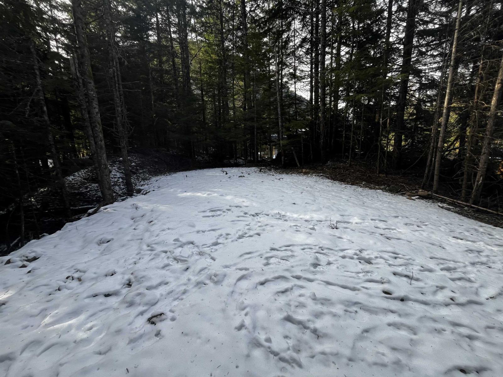 Sve97 Old Hope Princeton Highway, Sunshine Valley, Sunshine Valley, British Columbia  V0X 1L5 - Photo 25 - R3093943