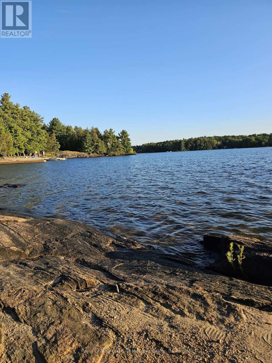 1157 Moon River Road, Muskoka Lakes, Ontario  P0C 1A0 - Photo 25 - X12835926