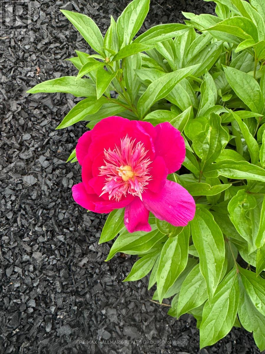 869 Moses Tennisco Street, Ottawa, Ontario K1K 5A2 - Photo 35 - X12835952