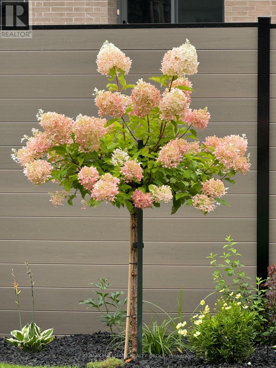 869 Moses Tennisco Street, Ottawa, Ontario K1K 5A2 - Photo 36 - X12835952