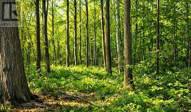 49 CEDAR SANDS ROAD, Rideau Lakes, Ontario