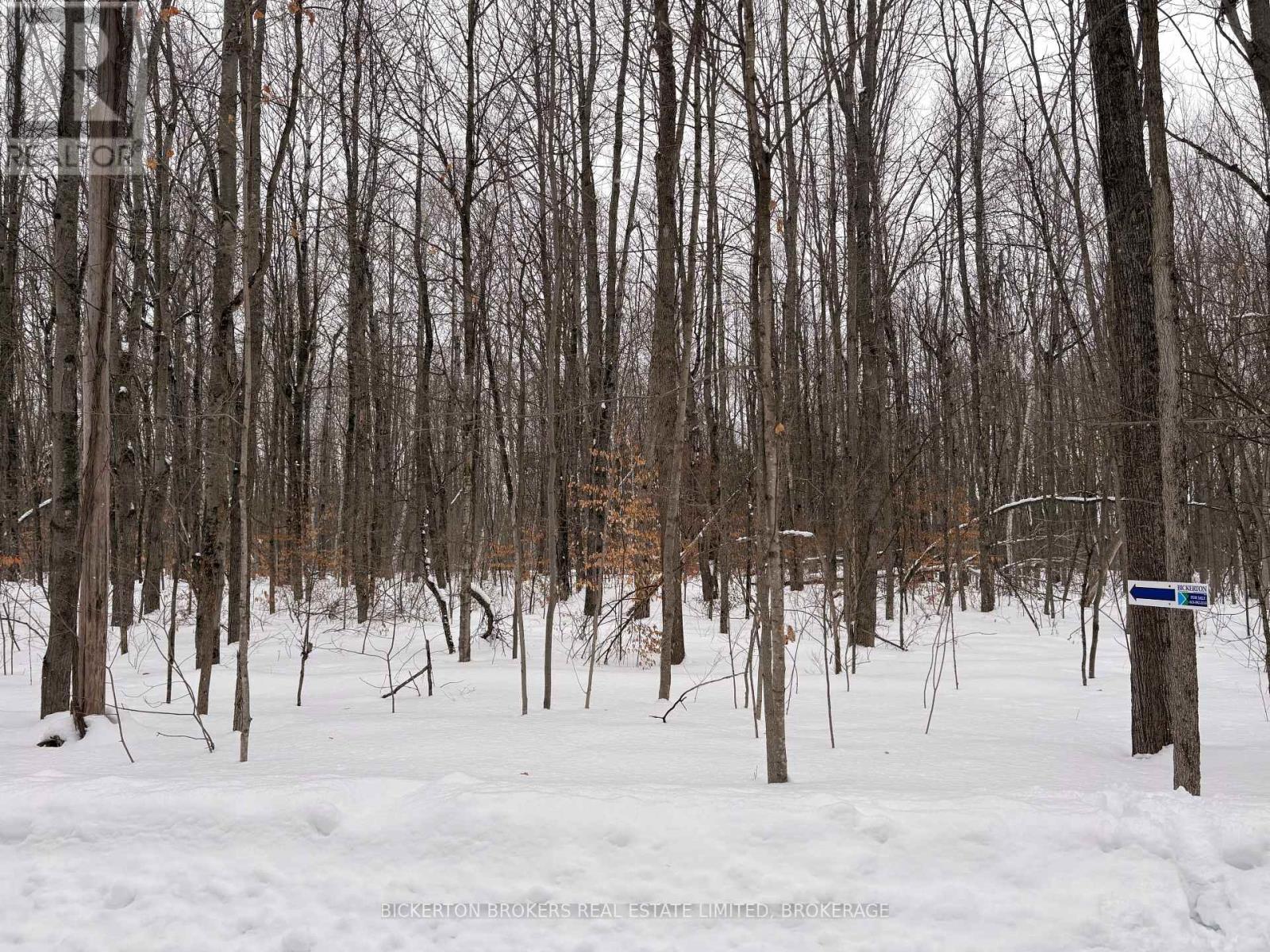 49 Cedar Sands Road, Rideau Lakes, Ontario  K0E 1N0 - Photo 5 - X12823028