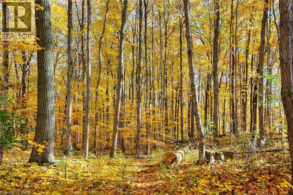 35 Green Valley Drive Unit# 204, Kitchener, Ontario N2P 2A5 - Photo 27 - 40805520