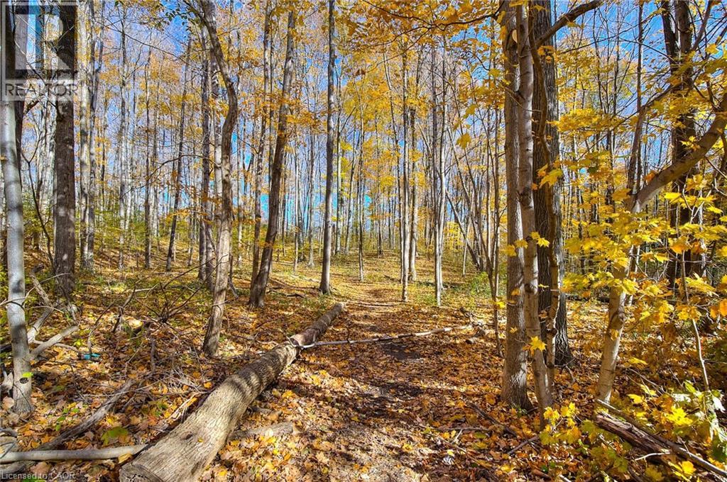 35 Green Valley Drive Unit# 204, Kitchener, Ontario N2P 2A5 - Photo 26 - 40805520