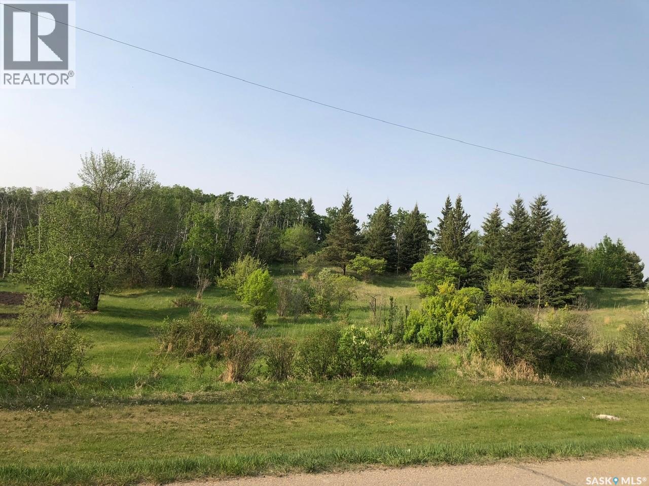 1001 Main Street, Sturgis, Saskatchewan  S0A 4A0 - Photo 12 - SK029514