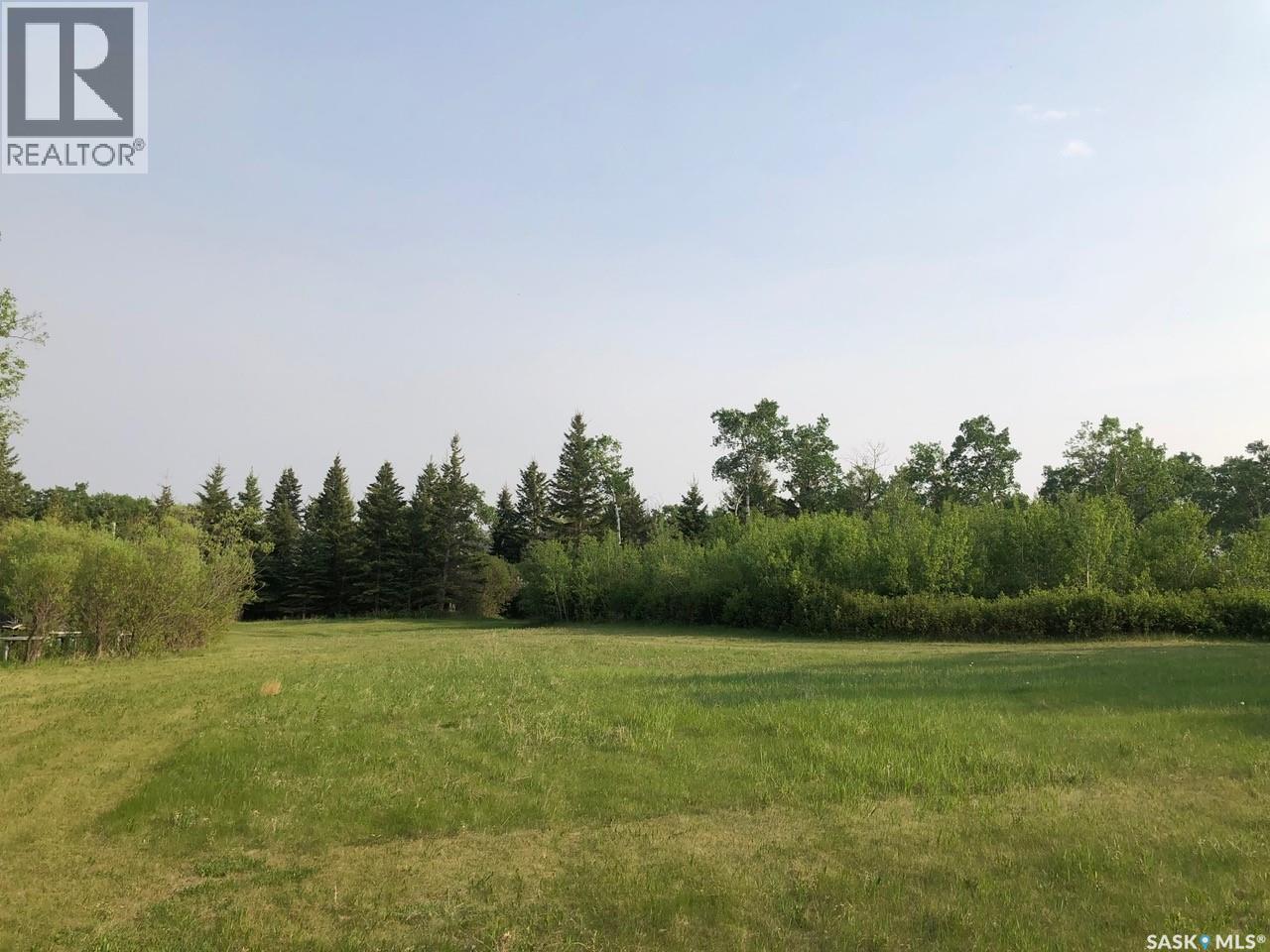 1001 Main Street, Sturgis, Saskatchewan  S0A 4A0 - Photo 13 - SK029514