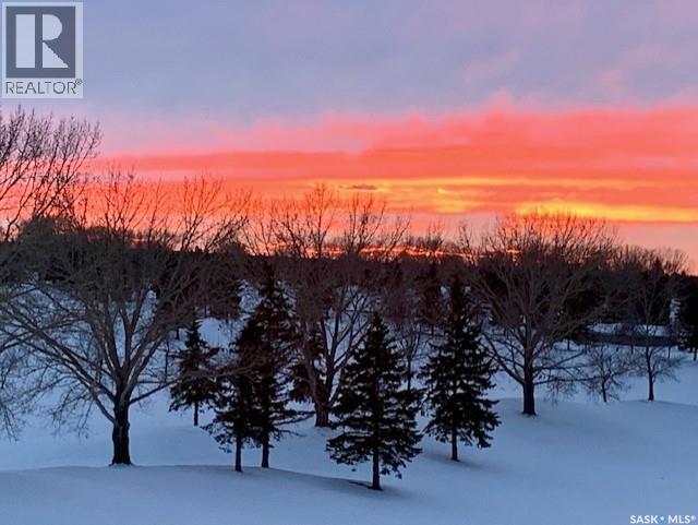 302 405 Cartwright Street, Saskatoon, Saskatchewan  S7T 0C8 - Photo 39 - SK029234