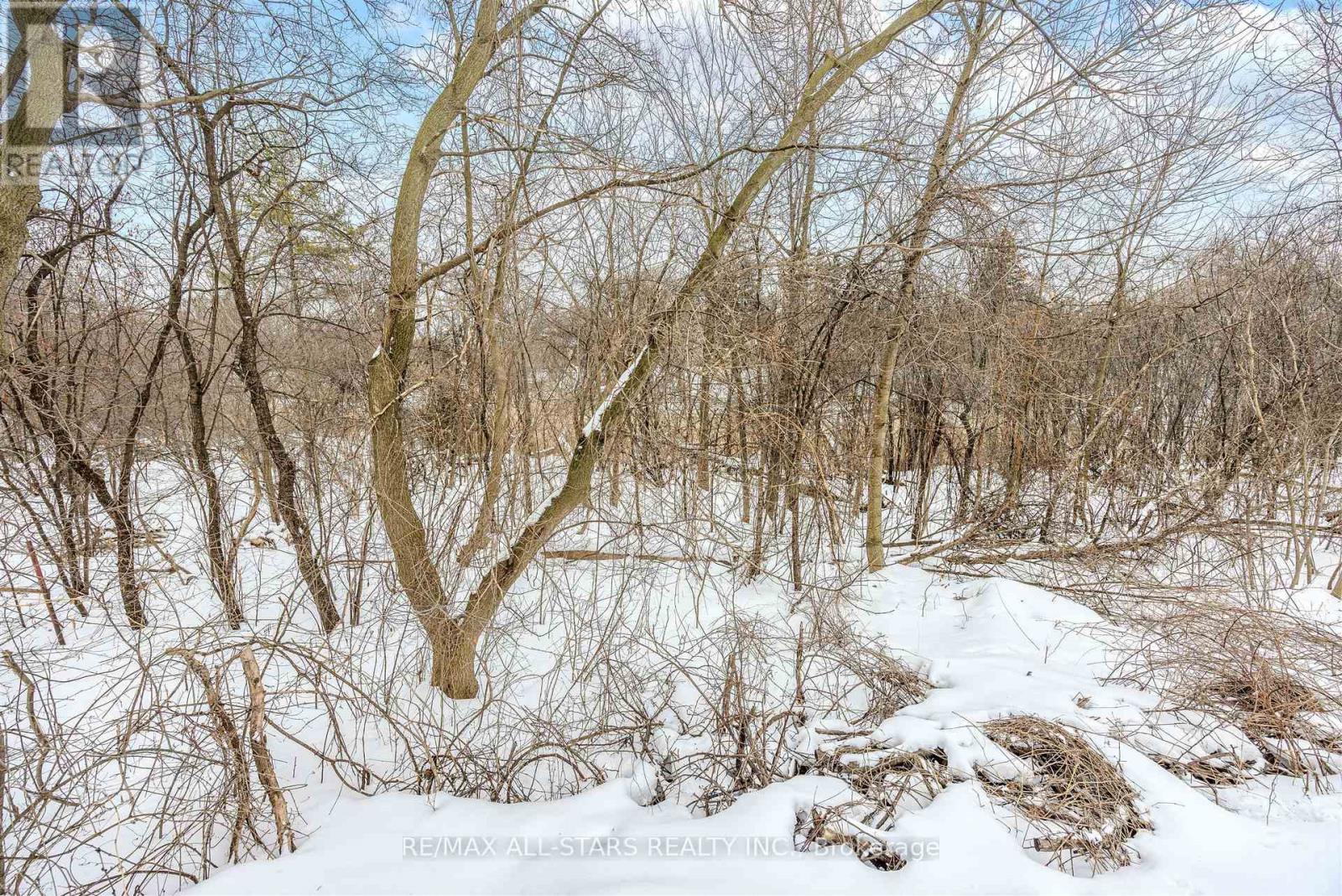 559 Meadowvale Road, Toronto, Ontario  M1C 1S7 - Photo 50 - E12836176